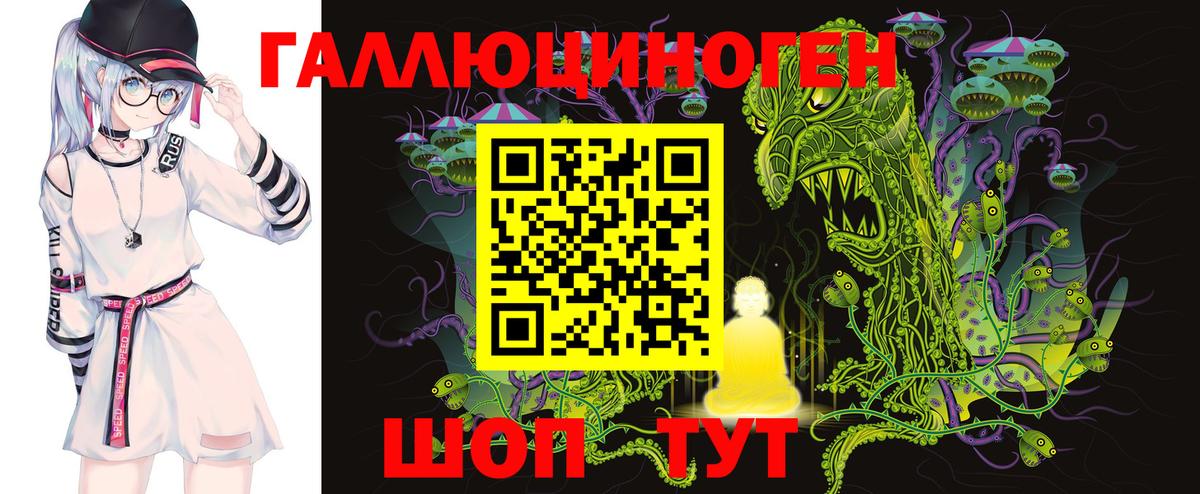 Псилоцибиновые грибы Psilocybe Знаменск